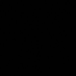 Meet your Posher, Jeime